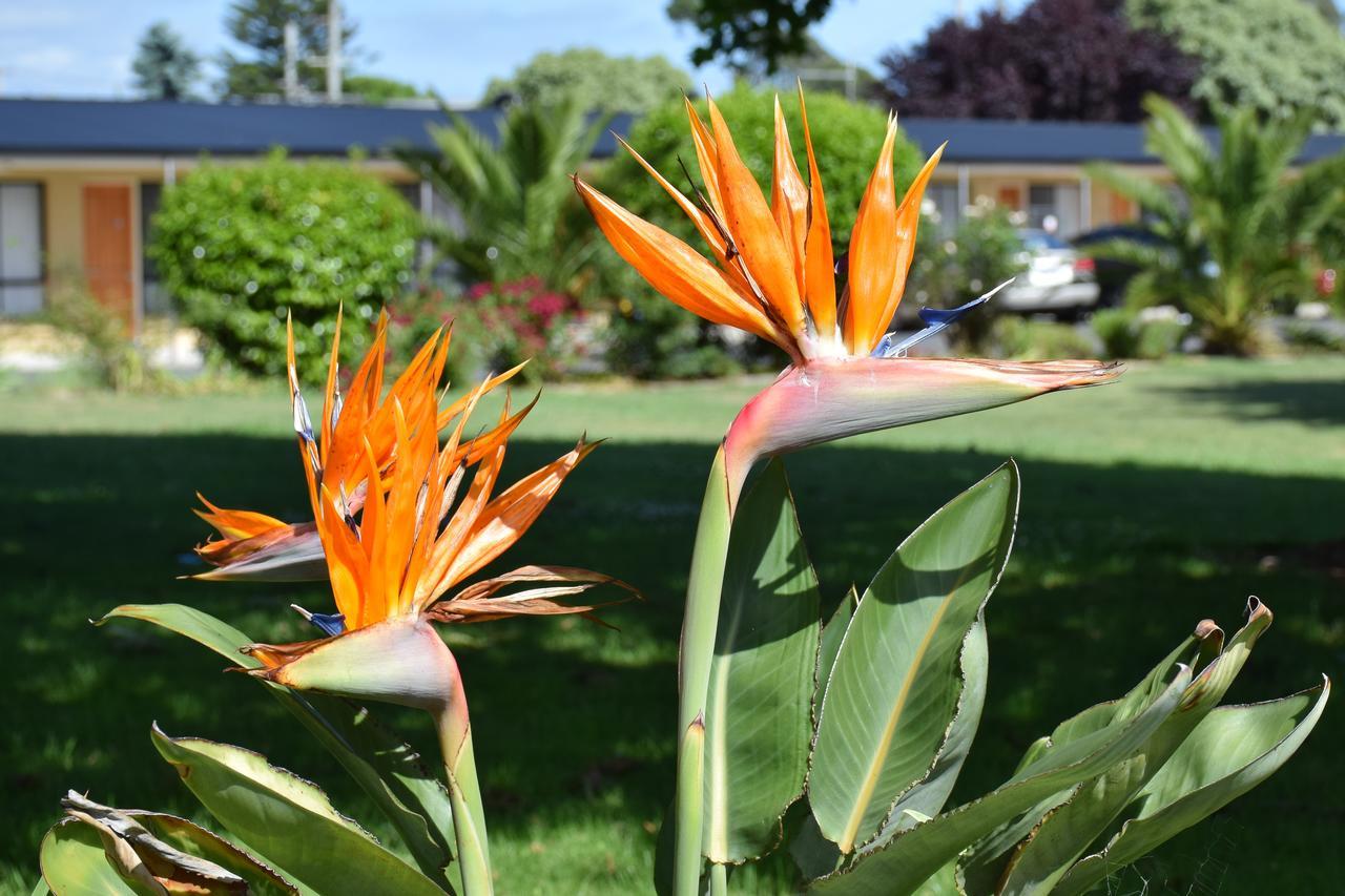 Beachway Motel Ulverstone Eksteriør billede